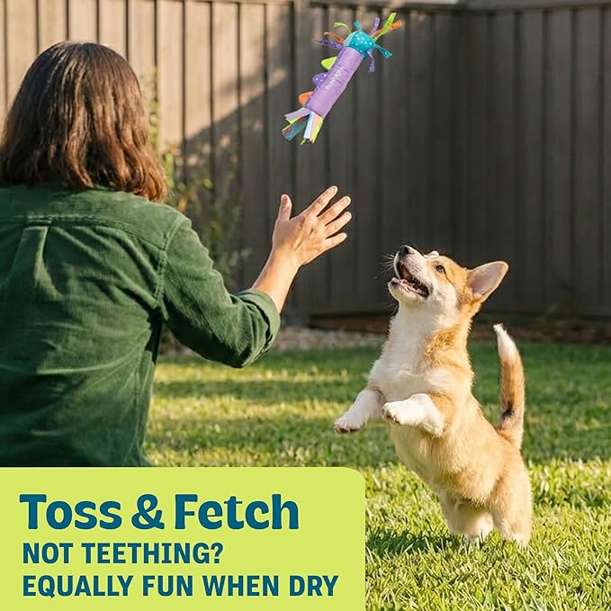 Petstages Pupstages Cool Teething Stick – Puppy Chew Toy for 0–6 Month Puppies, Teething Relief, Freezable & Durable