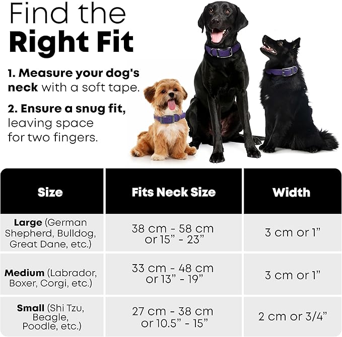 Regal Dog Products Small Purple Waterproof Dog Collars with Custom Engraved Name Plate | Vinyl Coated, Anti, Easy to Clean Personalized Biothane Dog Collar - Other Sizes for Medium & Large Dogs