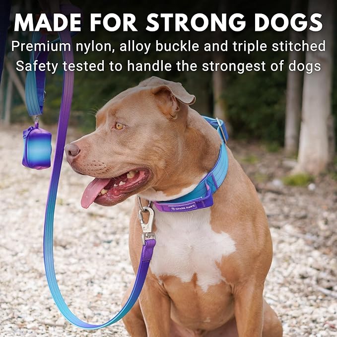 Spark Paws Tactical Dog Collar - Heavy Duty, Premium Quality, Thick and Durable for Large and Medium Dogs - 90s Retro - L - 1.5"