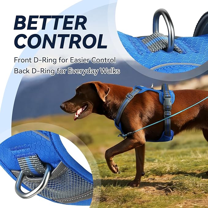 VIVAGLORY Dog Harness Easewalk No Pull Dog Harness with Handle Front Clip & Back Clip for Training Walking Lifting, No Pull Adjustable Easy On Padded Comfortable for Pet, S, Royal Blue - Patterned