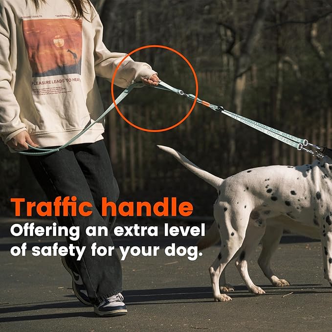 HOWGO Double Dog Leash, No Tangle 360° Swivel, Adjustable Two Padded Handles, Double Clip Dog Leash Coupler Splitter for 0~50 lbs Small and Medium Breeds (Mint Green, 2/3'' x 4.8 FT, Ultralight)