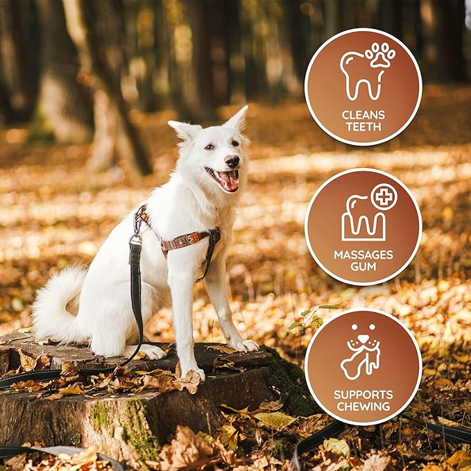 Wildfang® Leather Dog Toy, Medium – Soft Dog Chew Toys for Gentle Chewers, Puppies, Senior or Older Dogs with Sensitive Teeth – Non-Toxic, Stuffless, 5mm Leather Dog Bone for Dogs 22–33 lbs, Pack of 1