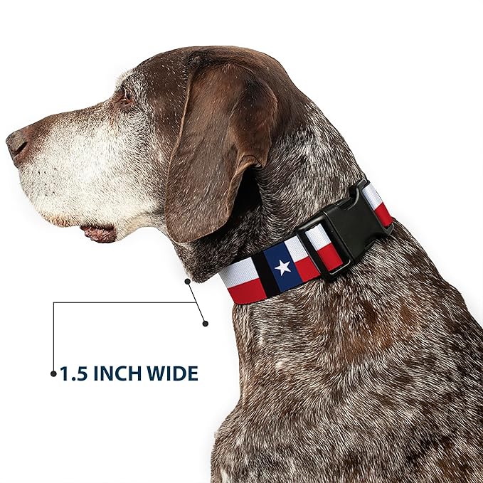 Buckle-Down Plastic Clip Collar - Texas Flag/Black - 1" Wide - Fits 11-17" Neck - Medium
