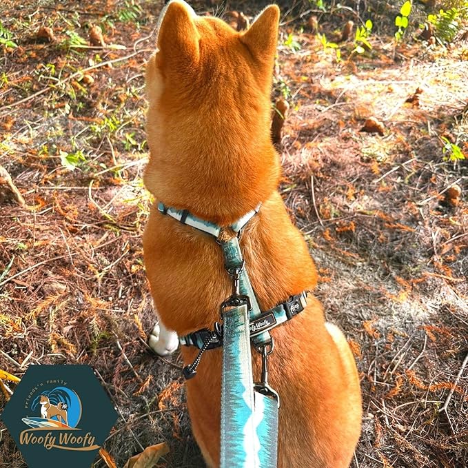 Casual H Dog Harness, No-Pull Pet Harness with 2 Leash Clips, Adjustable Soft Padded Dog Vest for Small, Medium, and Large Dogs, Forest Green Gradiant Color (L)