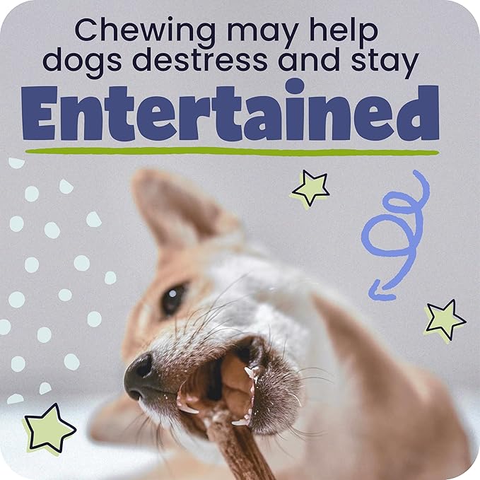 Pawstruck Natural 12” Braided Bully Sticks for Dogs - Tough, Long-Lasting, Rawhide-Free, Low Odor, Healthy Single Ingredient Chew Treat for Aggressive Chewers - 10 Count - Packaging May Vary