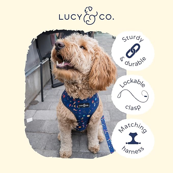 Lucy & Co. Space Doodle Dog Leash - 5-Foot Designer Dog Leash for Small, Medium or Big Dogs or Puppies Puppy - Pet Accessories & Supplies