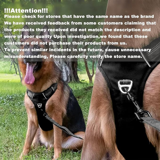 No Pull Dog Harness for Small Dogs, Adjustable, Reflective Breathable Padded Vest with 2 Metal Leash Clips and Handle for Control or Car Seatbelt Use, Black, S