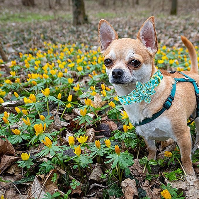 Elegant little tail Dog Collar with Flower, Flower Girl Dog Collar for Female Dogs Blue Bee Pet Collar Gift Adjustable Dog Collars with Flowers for Small Medium Large Dogs