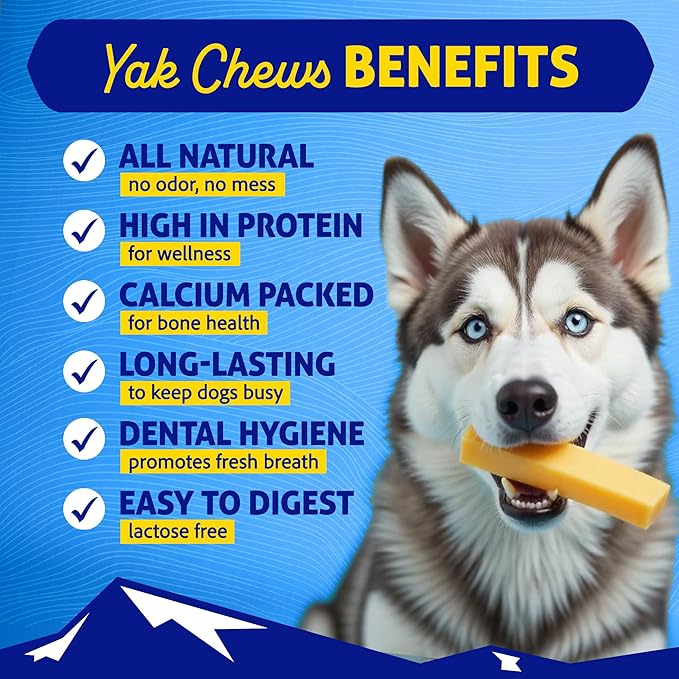 Himalayan Dog Chew Peanut Butter Yak Cheese Dog Chews, The Better-for-You Chew, 100% Natural Long Lasting, Healthy Dog Treats, Lactose & Grain Free, Protein Rich, for Dogs 65 Lbs & Smaller, 2-Count