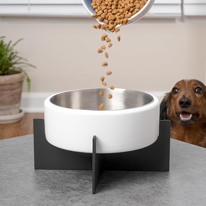 DBL3000E Intersecta Small/Medium Concrete and Stainless Steel Bowl 16oz (2 Cups) with Metal Stand Pet Feeder, White/Black