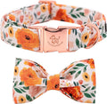 Elegant little tail Floral Dog Collar with Bow, Comfotable Dog Bowtie, Bowtie Dog Collar Adjustable Girl Dog Collars for Small Medium Large Dogs and Cats