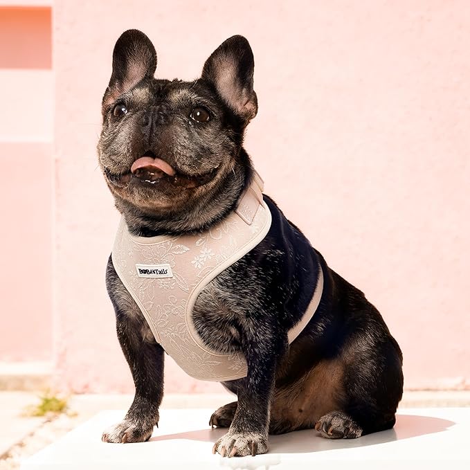No Pull Dog Vest Harness for Small&Medium Dogs, Side Clip Adjustable Pet Vest, Soft Breathable, Fashion Dog Harnesses for Walking, Running, Shopping (Nude, XS)