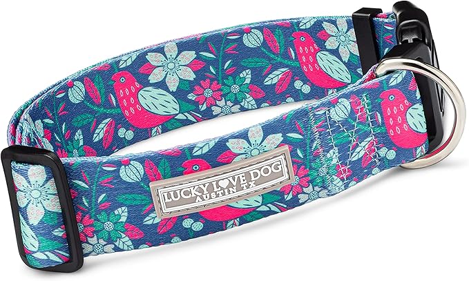 Lucky Love Dog Wide Dog Collar - Adjustable, Durable, Soft Webbing, & Comfortable 1.5 inch Wide Collar for Dogs Male and Female with Strong Buckle - Carriebelle, X-Large