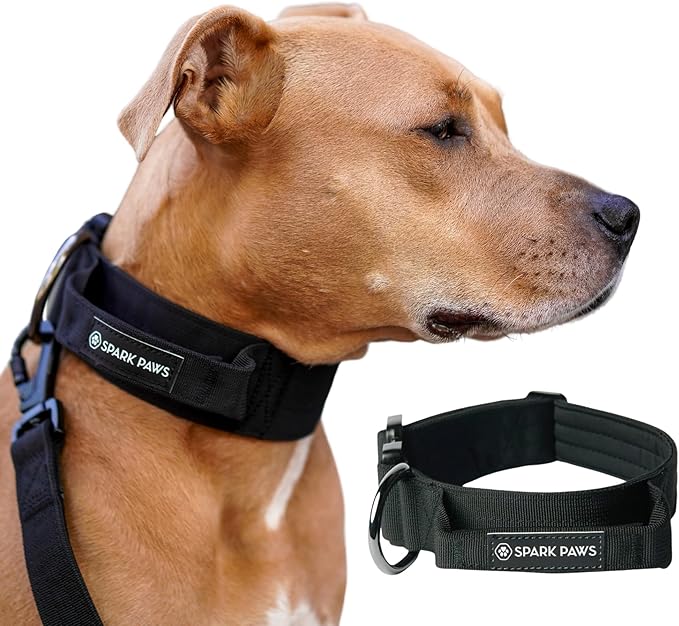 Spark Paws Tactical Dog Collar - Heavy Duty, Premium Quality, Thick and Durable for Large and Medium Dogs - Black - S - 1.5"