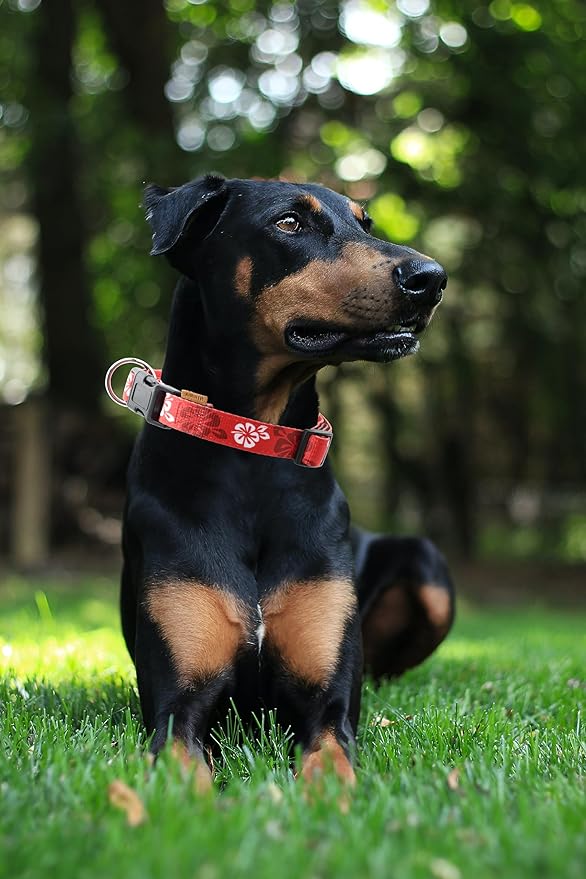Dog Collar, Cute Floral Pattern, Neoprene Padded and Adjustable Collar with Quick Release Buckle, Reinforced Structure (L (Neck 18-28", Width 1"), Hawaiian Red)