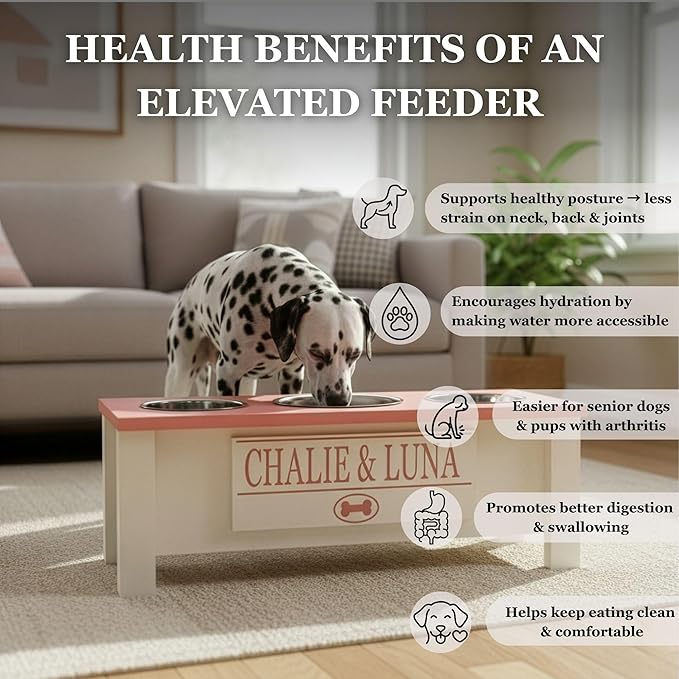 GTW Personalized Elevated Triple Dog Bowl Stand for Large, Medium, Small, X-Small Dogs - 3 Stainless Steel Food and Water Bowls - Raised Dog Dish Internal Storage (Medium, Black)