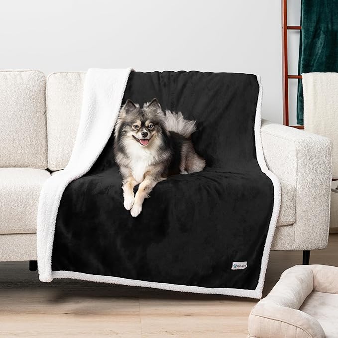 PetAmi Waterproof Dog Blanket for Medium Large Dog Puppy Cat Throw for Couch Cover Leakproof Protection, Sherpa Fleece, Reversible Soft Washable 60x40 Black
