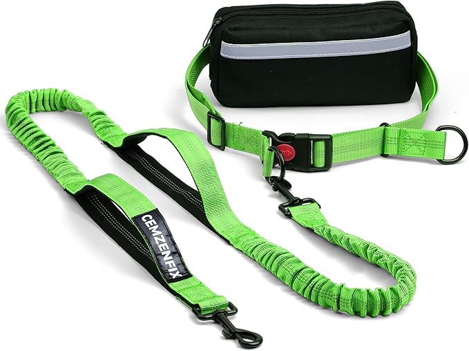 Hands Free Dog Leash with Waist Belt – No-Pull Bungee, Dual Padded Handles & Zipper Pouch for Running, Walking & Training – Adjustable Waist Leash for Large & Medium Dogs