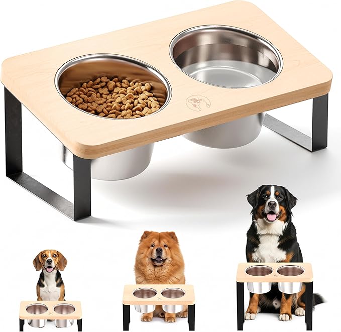 4.7" Tall Elevated Dog Bowls - Ergonomic Stainless Steel Dog Bowls with 10° Tilt in Bamboo Wood Stand for Puppies, Small, and Short-Legged Breed