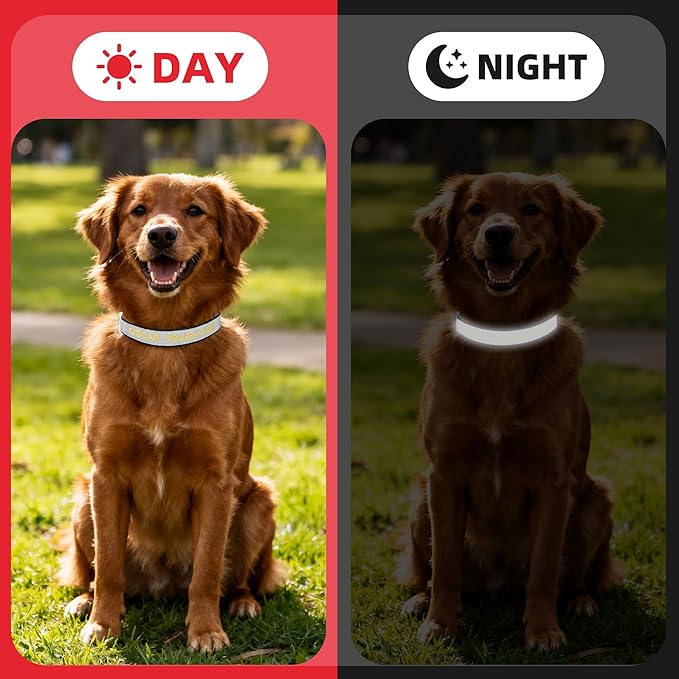 Personalized Dog Collar with Name & Phone Number, Custom Embroidered Reflective Collar for Dogs, Adjustable XS S M L Size with Quick Release Buckle, Durable Nylon (Solid with Reflective Strip)