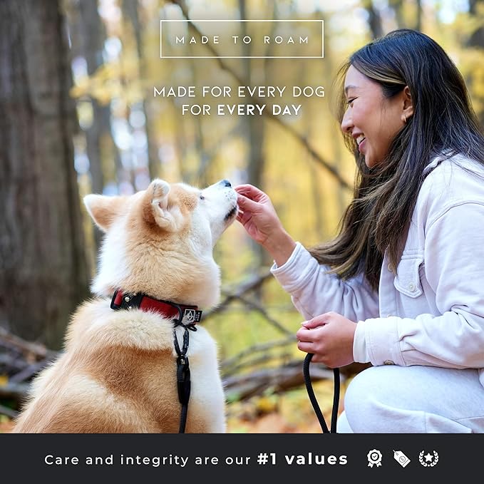 MADE TO ROAM Comfort Collar - Adjustable Nylon Dog Collar with Soft Comfortable Padding, Light Aviation Aluminum Metal Buckle for Small, Medium and Large Dogs (Virginia Mountains, Size 4)