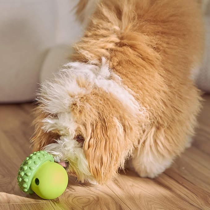 SPOT Treat Tumbler Broccoli – Freezable & Fillable Treat Dispensing Dog Toy for Small & Medium Dogs, Silicone, Easy to Clean, Interactive, Holds Small Kibble & Soft Snacks, 4.38 in