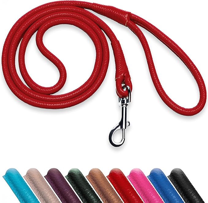 OOPSDOGGY Rolled Leather Dog Lead 6ft Heavy Duty Training Leash for Small Medium Large Dogs & Puppy Black Brown Red (Red, Large)