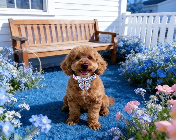 Lionet Paws Floral Dog Collar with Sailor Bow, Spring Wildflowers Daisy Forget Me Not Dog Collar Bow Tie for Dogs, Small, Neck 10-16 inches