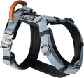 MADE TO ROAM Premium Explorer Harness - Y-Shaped Dog Harness with Adjustable Durable Nylon, Soft Padding, Metal Buckles and Leather Handle for Small, Medium, Large Dogs (Virginia Mountains, Size 1)