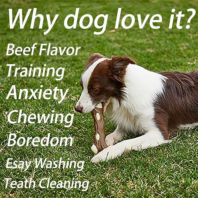 Dog Bones Chew Toys for Aggressive Chewers, 3 Pack Real Beef Flavor,Indestructible Dog Teething Chew Toys for Large/Medium/Small Puppies Breed,Tough Pet Toy with Nylon