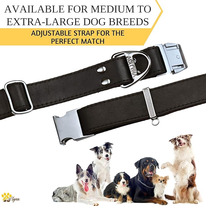ADITYNA Leather Dog Collar with Metal Buckle - Heavy-Duty, Adjustable for Large & Extra Large Dogs - Walking & Training (Black, Fits 19-30" Necks)