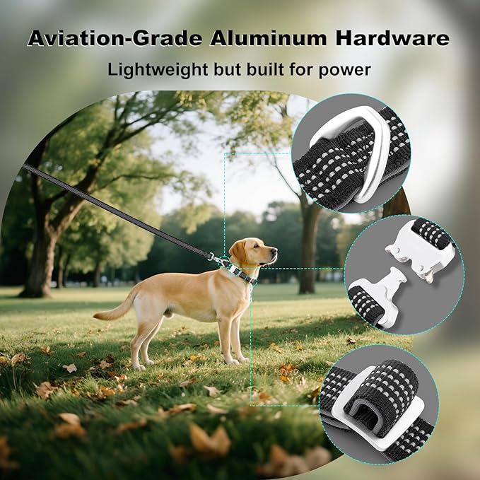 Plutus Pet Reflective Dog Collar with Aviation Aluminum Buckle, Neoprene Padded for Comfort, Lightweight, Heavy Duty Nylon Collar for Puppy Small Medium Large Dogs (Black, XL)