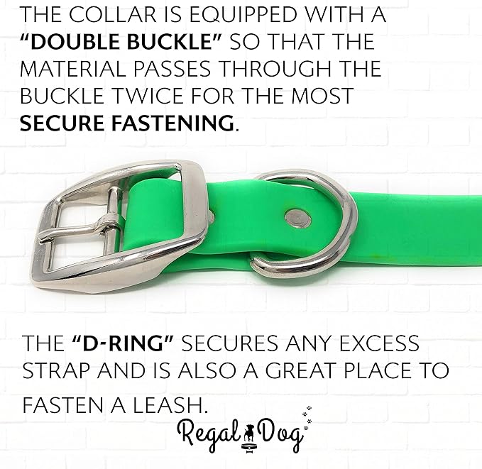Regal Dog Products Large Light Green with Custom Engraved Waterproof Dog Collar and Leash Set | Waterproof Dog Collar with Double Buckle & D Ring - 5'ft Leash | Matching Dog Collar and Leash for Dogs