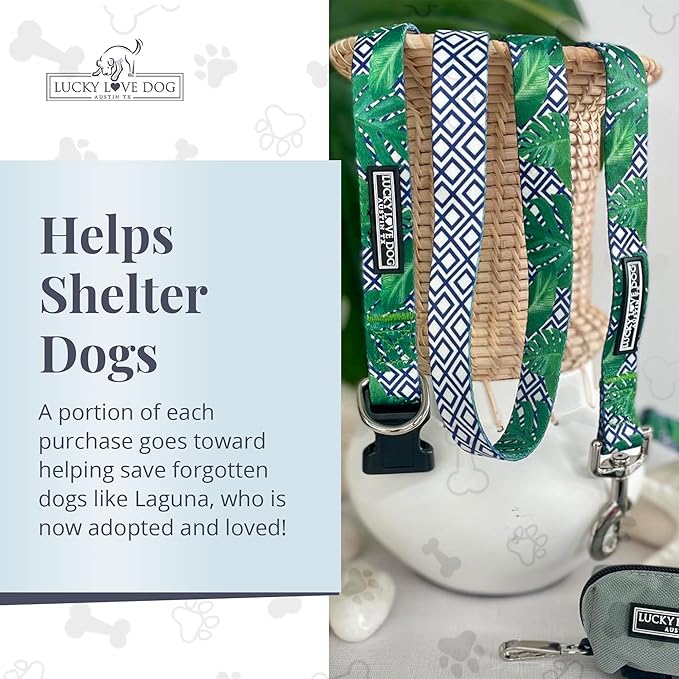 Lucky Love Dog Leash – Soft, Durable, and Comfortable Leash with Vibrant Patterns – Stylish and Long Lasting for Small Male and Female Dogs – Laguna, Small