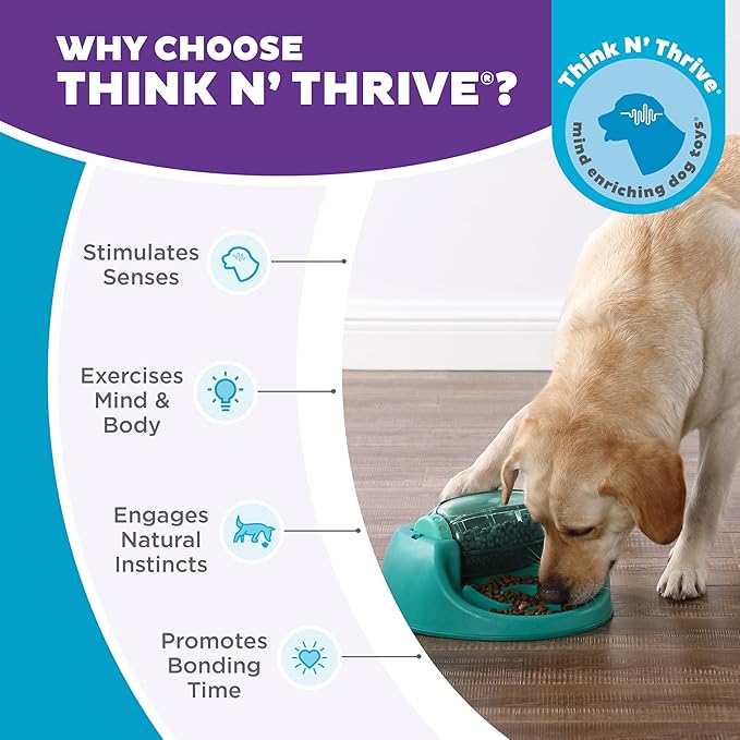 Outward Hound by Nina Ottosson Spin N' Eat Dog Puzzle and Slow Feeder, Level 2 Intermediate Enrichment Toy, Green