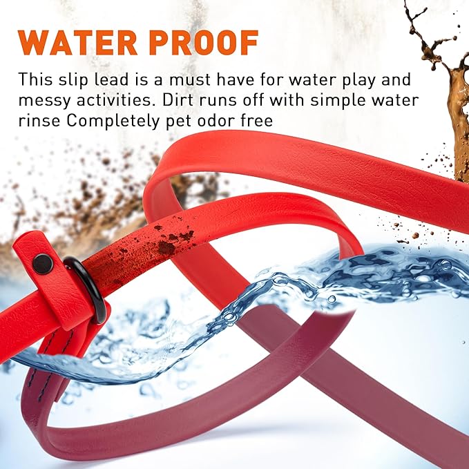 Dogline Biothane Slip Dog Leash - for Small, Medium and Large Dogs - Odor Free Slip Lead, Heavy Duty and Durable Material Kennel Lead - Cherry Red - 5ft L x 3/8in W