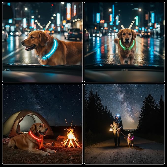 Rechargeable Reflective Pet Gear LED Dog Collar Light Up, Flashing Glowing Illuminated Collar for Night Walking, Neon Pet Collar with Light for Small/Medium/Large Dogs (Green, 1-Pack)