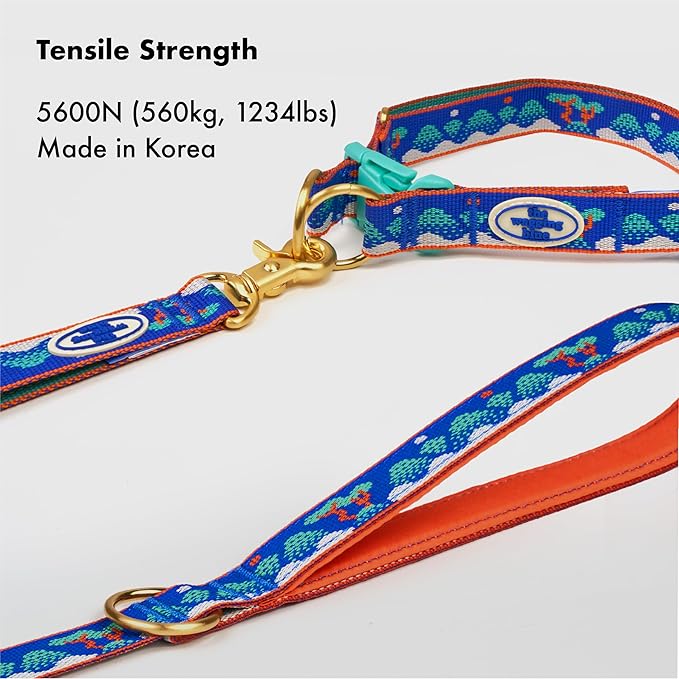 Signature Dog Leash – 63in Durable Double-Sided Jacquard Webbing, Ergonomic 0.8in Grip, Safety-Tested Hardware – Made in Korea (Basic, Ilwolobongdo)