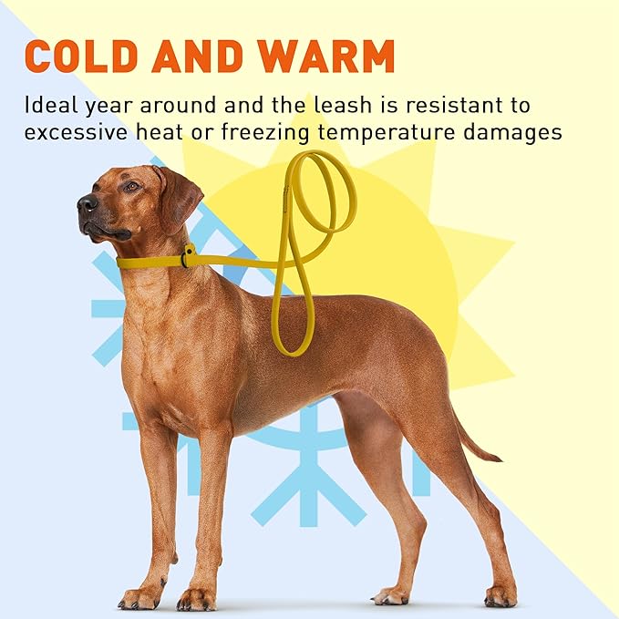 Dogline Biothane Slip Dog Leash - for Small, Medium and Large Dogs - Odor Free Slip Lead, Heavy Duty and Durable Material Kennel Lead - Treasure Gold - 7ft L x 1/2in W