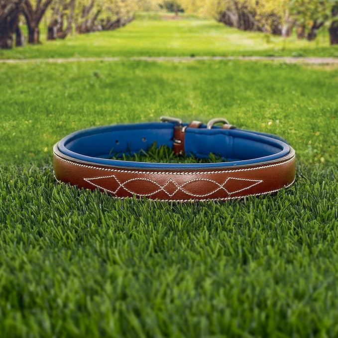 Exion Geniun Leather Dog Collar Designer Stitched Soft Leather Padded- Suitable for Small Medium Large X-Large Dogs for Walking Running- Conker with Blue Padding