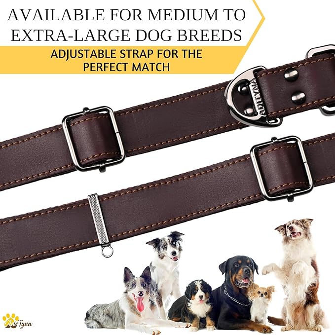 ADITYNA Leather Dog Collar with Metal Buckle - Heavy-Duty, Adjustable for Large & Extra Large Dogs - Walking & Training (Brown, Fits 19-30" Necks)
