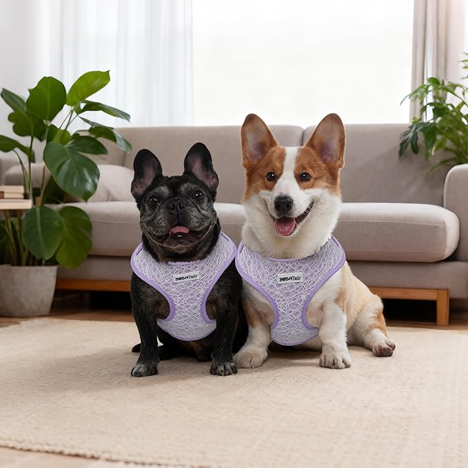No Pull Dog Vest Harness for Small&Medium Dogs, Side Clip Adjustable Pet Vest, Soft Breathable, Fashion Dog Harnesses for Walking, Running, Shopping (Purple, M)