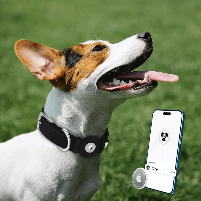 Leather Dog Collar with Airtag Holder - Apple Air Tag Dog Collars - Soft Tracking GPS Pet Collar for Small Medium Large Dogs Breed Puppy (Black, XL, 19"-24" Neck Fit)