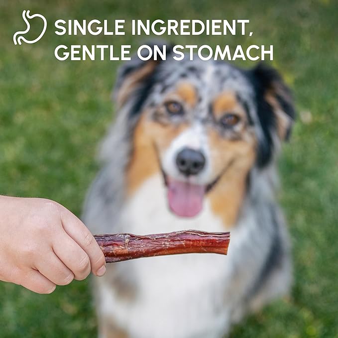 Downtown Pet Supply Bully Sticks for Dogs - Natural 6 Inch Beef Chews, Odor-Free & Rawhide-Free, Long Lasting Dog Treats for Aggressive Chewers - Healthy, Safe & Delicious Chews Dogs Love (10 Pack)