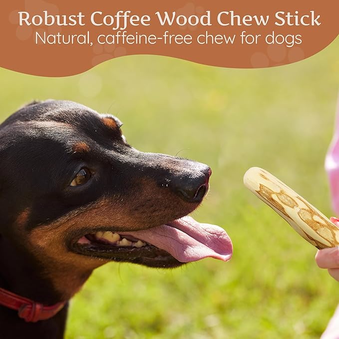 Wildfang® Coffee Wood Dog Chew, Medium – Tough Chew Toys for Aggressive Chewers, Dog Teething Toys for Puppies, Training for Chewing Muscles, Coffee Tree Sticks for Medium Dogs (33–55 lbs), Pack of 3