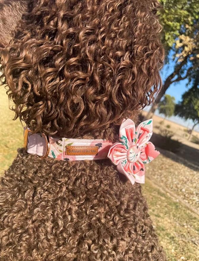 Elegant little tail Flower Girl Dog Collar for Female Dogs, Pet Collar Adjustable Dog Collars with Flower Gift for X-Large Dogs