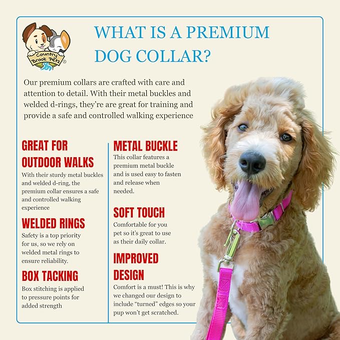 Country Brook Petz - Premium Nylon Dog Collar with Metal Buckle for Small Medium Large Breeds - 10+ Cool Colors (Large, 1 Inch, Fuchsia)