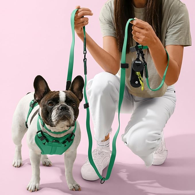 HNS1003K Arlo Large Adjustable Soft Padded No Pull Pet Harness with 3 Buckles and 3 Leash Clips, Julep