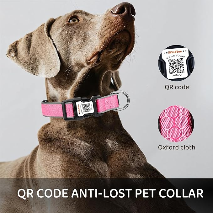 Reflective Dog Collar with QR Code Tag, Personalized Dog Collar, Safety Night Visibility, Anti-Loss Function (Pink-02, Medium)