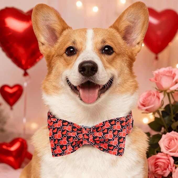Elegant little tail Valentine's Dog Collar - Red Heart Dog Collars Bowtie Pet Collars with Sturdy Metal Buckle Puppy Adjustable Collar for Small Dogs